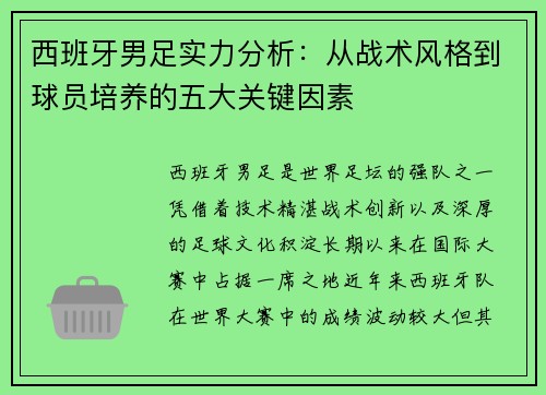 西班牙男足实力分析：从战术风格到球员培养的五大关键因素