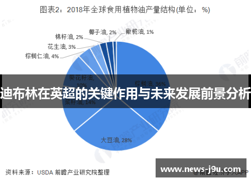 迪布林在英超的关键作用与未来发展前景分析